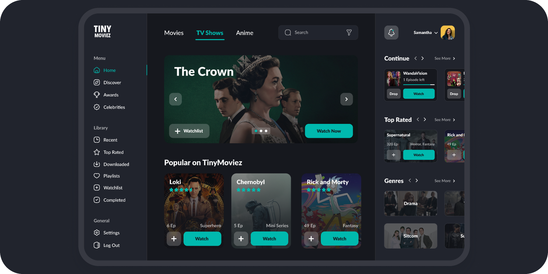 Flixtor Streaming Interface